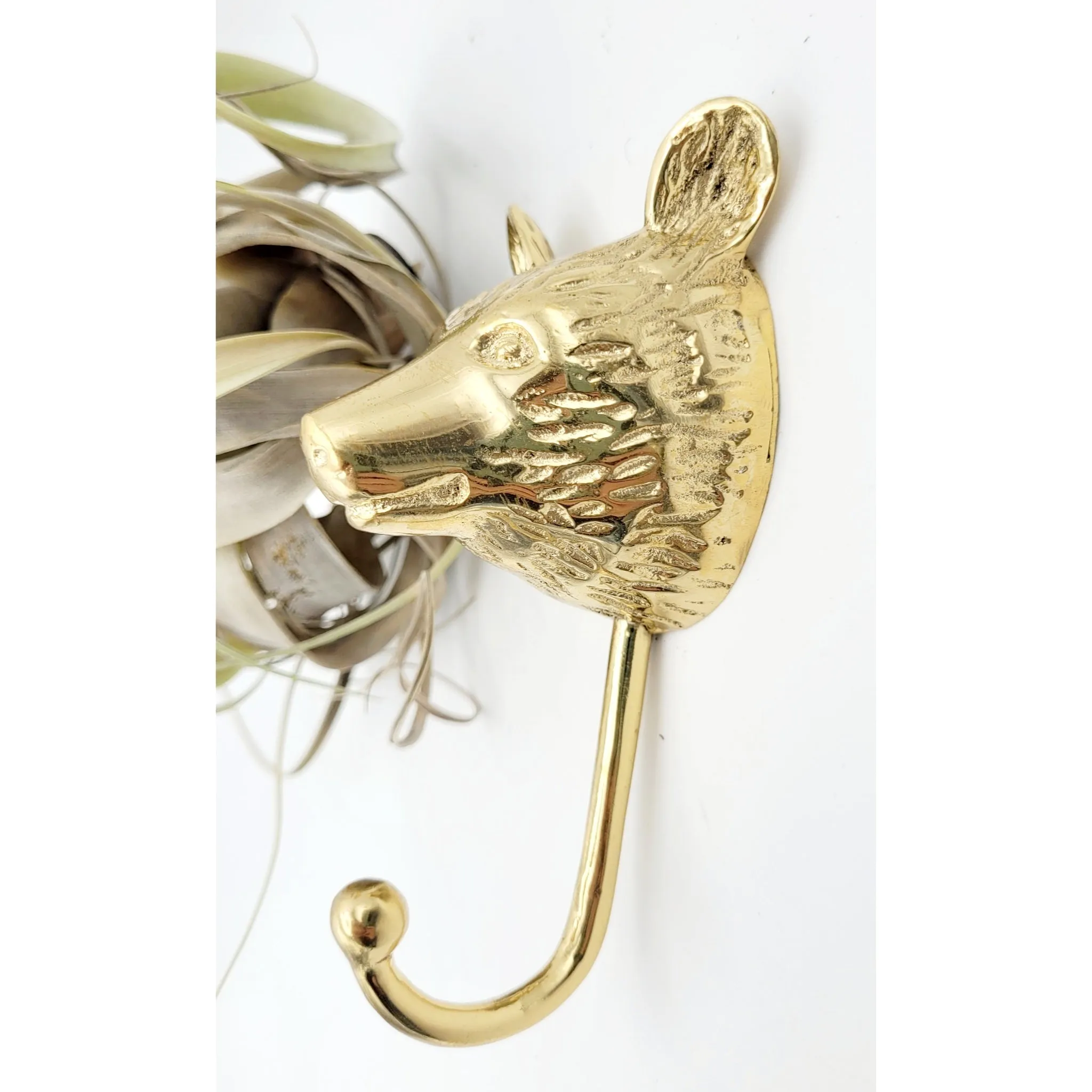 Bear Coat Hook